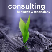 consulting business & technology